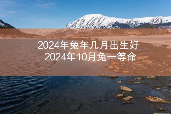 2024年兔年几月出生好 2024年10月兔一等命