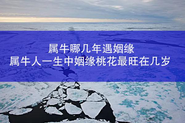 属牛哪几年遇姻缘 属牛人一生中姻缘桃花最旺在几岁