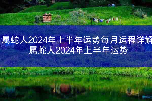 属蛇人2024年上半年运势每月运程详解 属蛇人2024年上半年运势