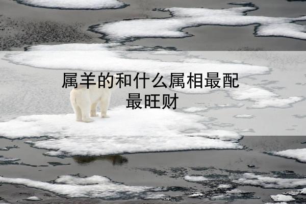 属羊的和什么属相最配最旺财