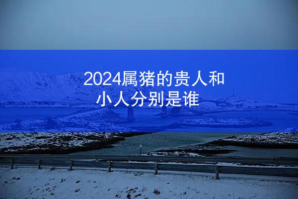 2024属猪的贵人和小人分别是谁