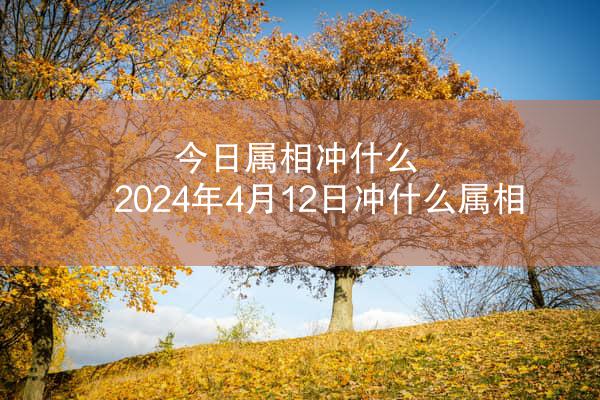 今日属相冲什么 2024年4月12日冲什么属相