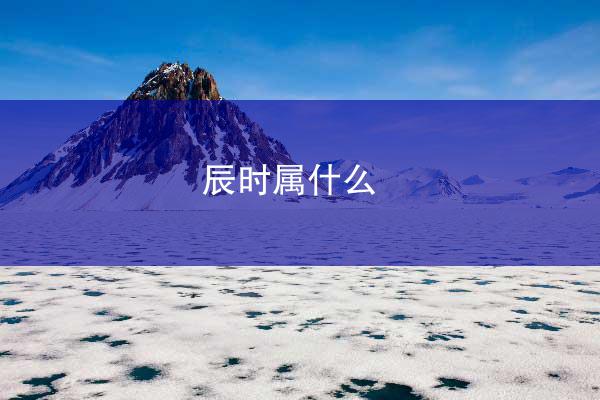 辰时属什么