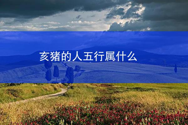 亥猪的人五行属什么