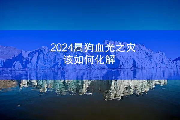 2024属狗血光之灾该如何化解