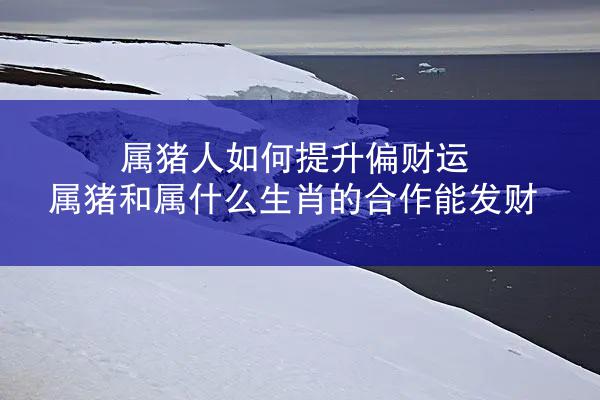 属猪人如何提升偏财运 属猪和属什么生肖的合作能发财