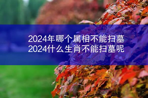 2024年哪个属相不能扫墓 2024什么生肖不能扫墓呢