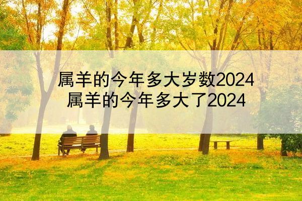 属羊的今年多大岁数2024 属羊的今年多大了2024