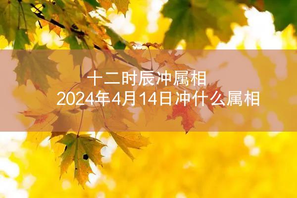 十二时辰冲属相 2024年4月14日冲什么属相