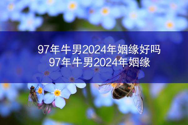 97年牛男2024年姻缘好吗 97年牛男2024年姻缘