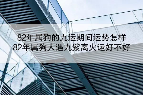 82年属狗的九运期间运势怎样 82年属狗人遇九紫离火运好不好