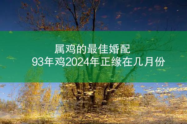 属鸡的最佳婚配 93年鸡2024年正缘在几月份