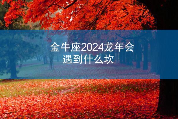 金牛座2024龙年会遇到什么坎