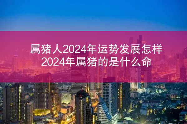 属猪人2024年运势发展怎样 2024年属猪的是什么命