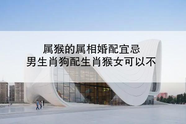 属猴的属相婚配宜忌 男生肖狗配生肖猴女可以不