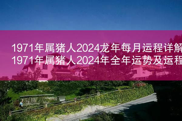 1971年属猪人2024龙年每月运程详解 1971年属猪人2024年全年运势及运程
