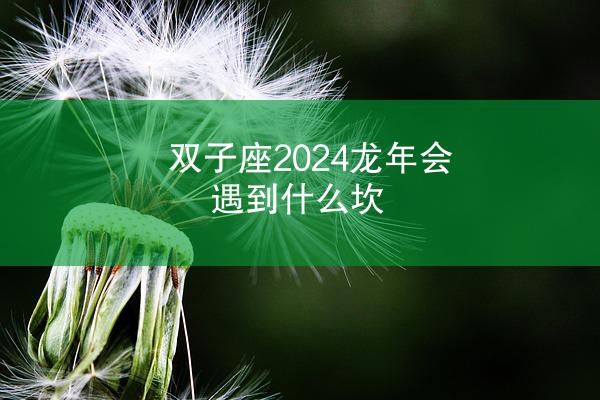 双子座2024龙年会遇到什么坎