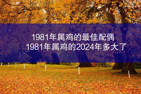 1981年属鸡的最佳配偶 1981年属鸡的2024年多大了