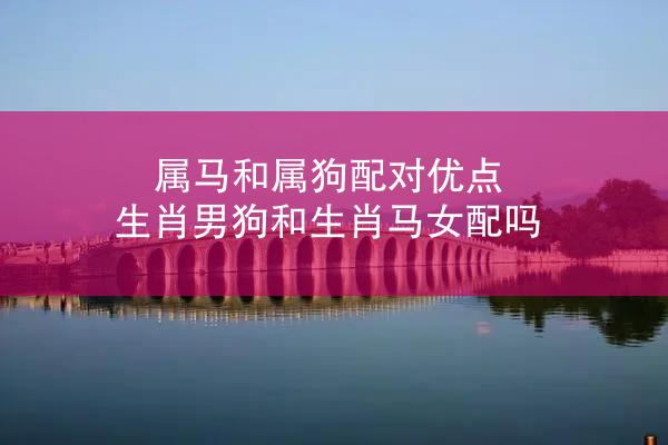 属马和属狗配对优点 生肖男狗和生肖马女配吗
