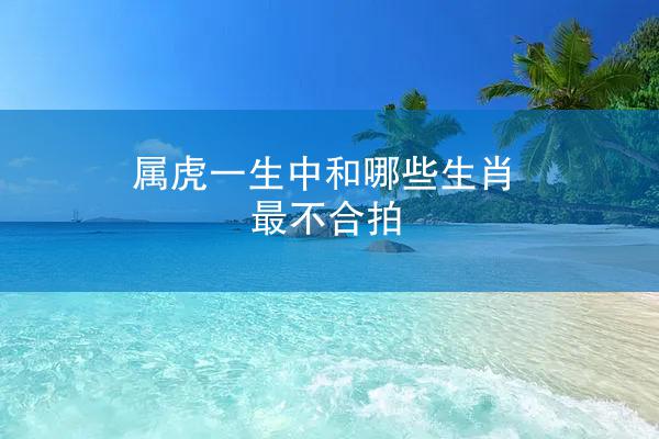 属虎一生中和哪些生肖最不合拍