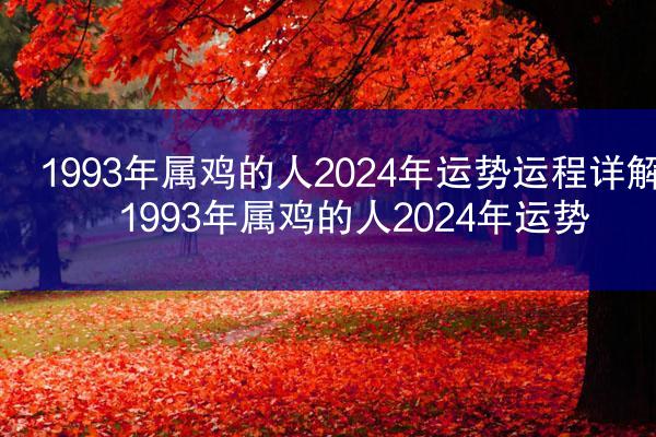 1993年属鸡的人2024年运势运程详解 1993年属鸡的人2024年运势