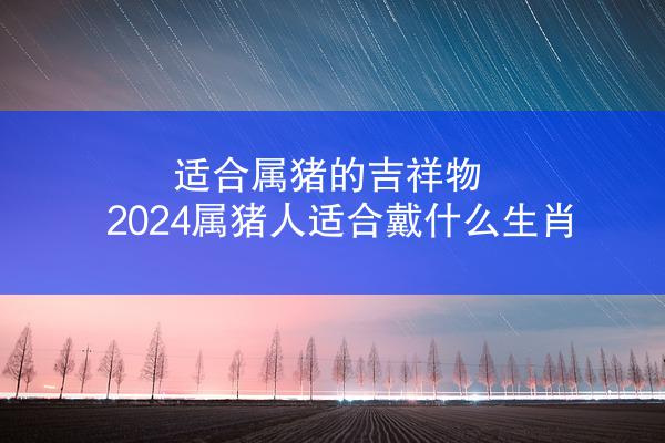 适合属猪的吉祥物 2024属猪人适合戴什么生肖