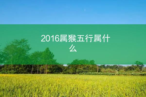 2016属猴五行属什么