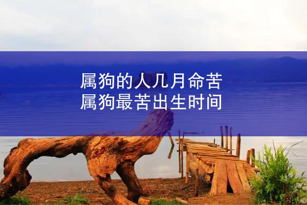 属狗的人几月命苦 属狗最苦出生时间
