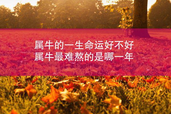 属牛的一生命运好不好 属牛最难熬的是哪一年