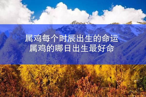 属鸡每个时辰出生的命运 属鸡的哪日出生最好命