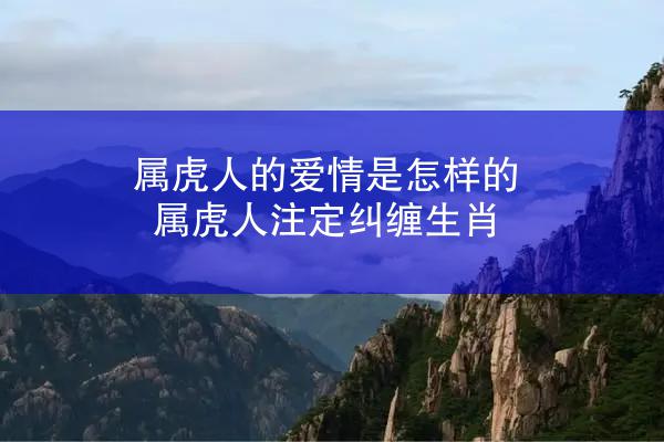 属虎人的爱情是怎样的 属虎人注定纠缠生肖