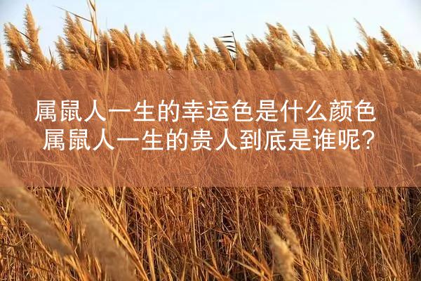 属鼠人一生的幸运色是什么颜色 属鼠人一生的贵人到底是谁呢?