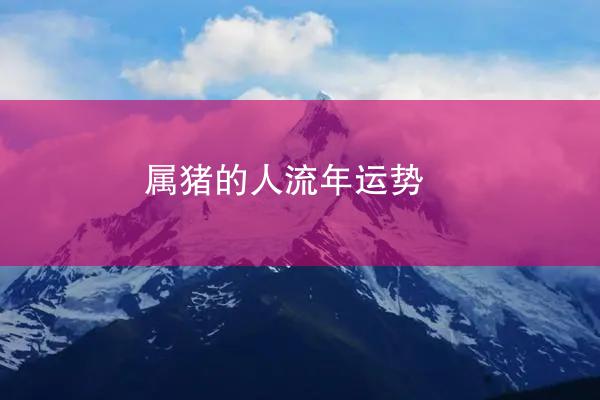 属猪的人流年运势