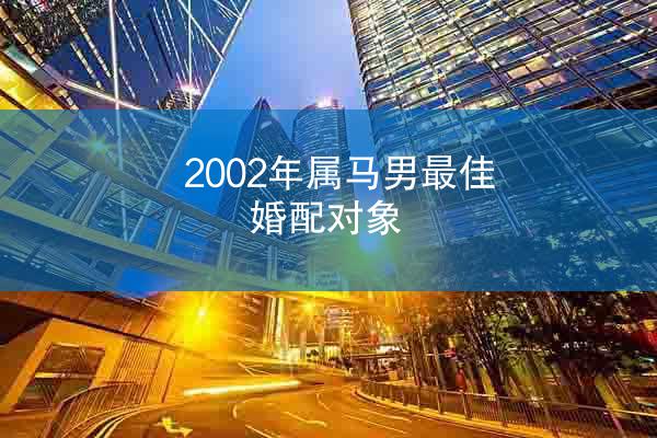 2002年属马男最佳婚配对象