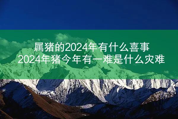 属猪的2024年有什么喜事 2024年猪今年有一难是什么灾难