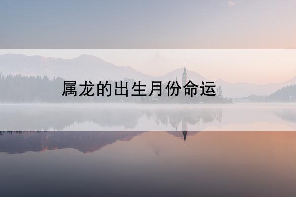 属龙的出生月份命运