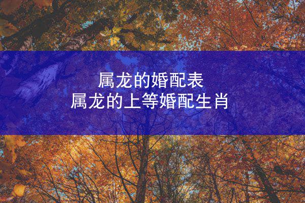 属龙的婚配表 属龙的上等婚配生肖