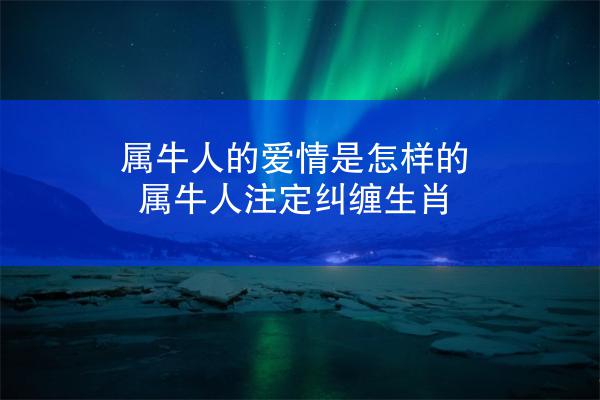 属牛人的爱情是怎样的 属牛人注定纠缠生肖