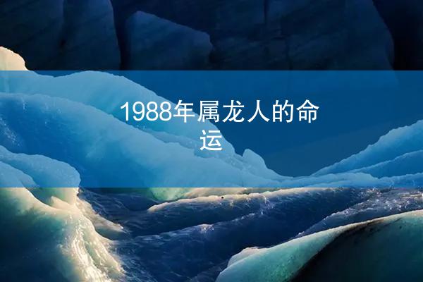 1988年属龙人的命运
