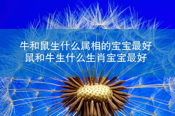 牛和鼠生什么属相的宝宝最好 鼠和牛生什么生肖宝宝最好
