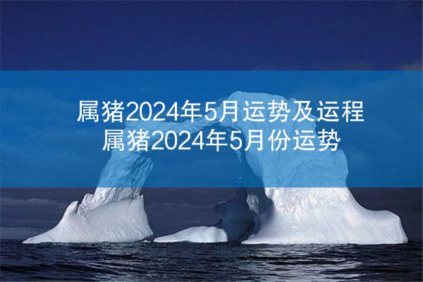 属猪2024年5月运势及运程 属猪2024年5月份运势