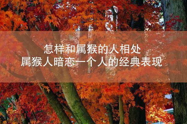 怎样和属猴的人相处 属猴人暗恋一个人的经典表现