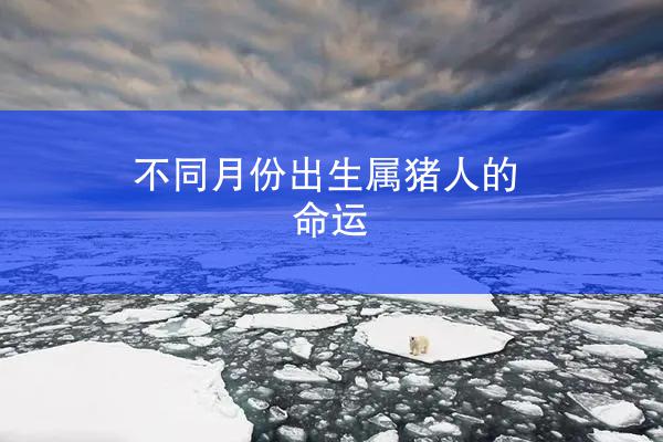 不同月份出生属猪人的命运