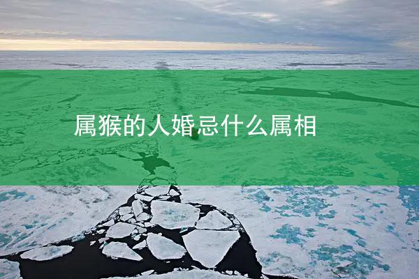 属猴的人婚忌什么属相
