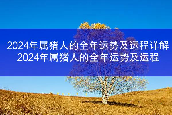 2024年属猪人的全年运势及运程详解 2024年属猪人的全年运势及运程