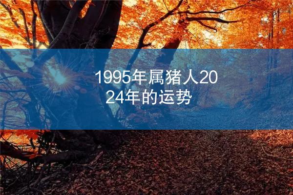 1995年属猪人2024年的运势