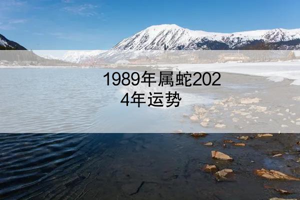 1989年属蛇2024年运势