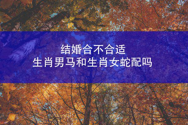 结婚合不合适 生肖男马和生肖女蛇配吗