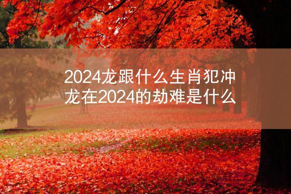 2024龙跟什么生肖犯冲 龙在2024的劫难是什么