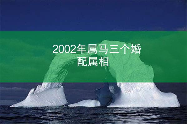 2002年属马三个婚配属相